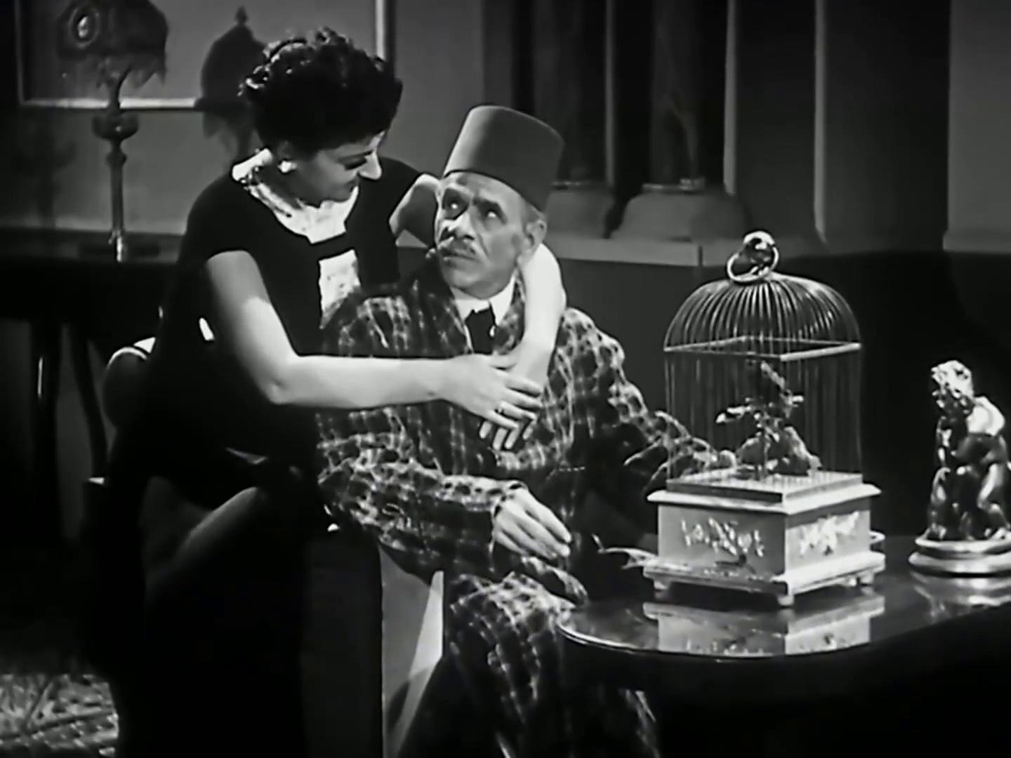 Omar Wasfy
	  	 	 - Negma Ibrahim