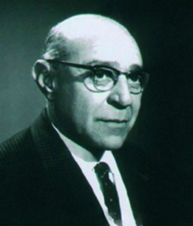 أحمد ضياء الدين