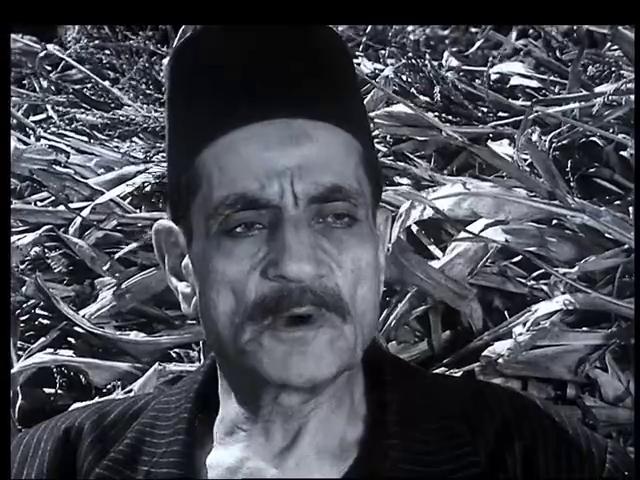 abdel-wareth asar