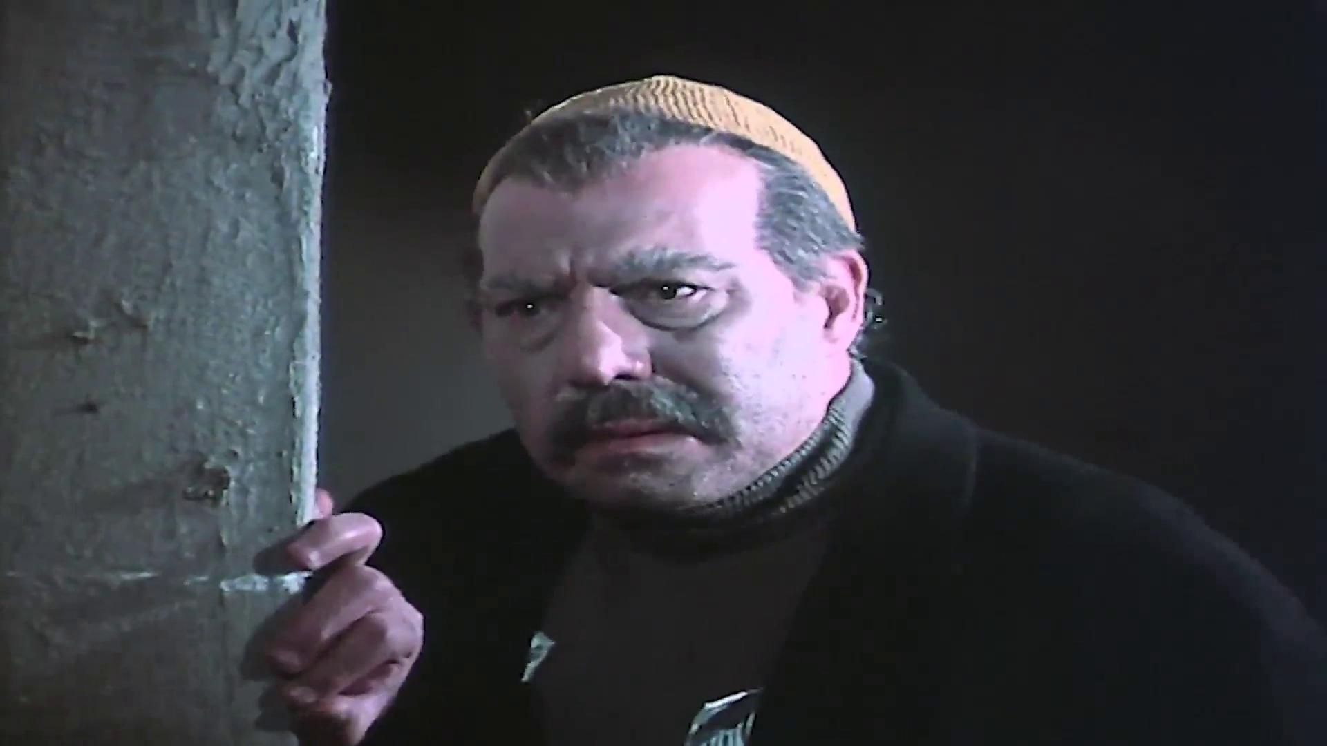 Farid Shawqi