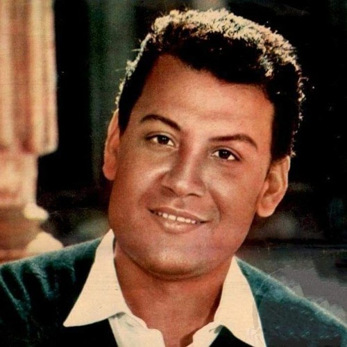 محمد رشدي (1)