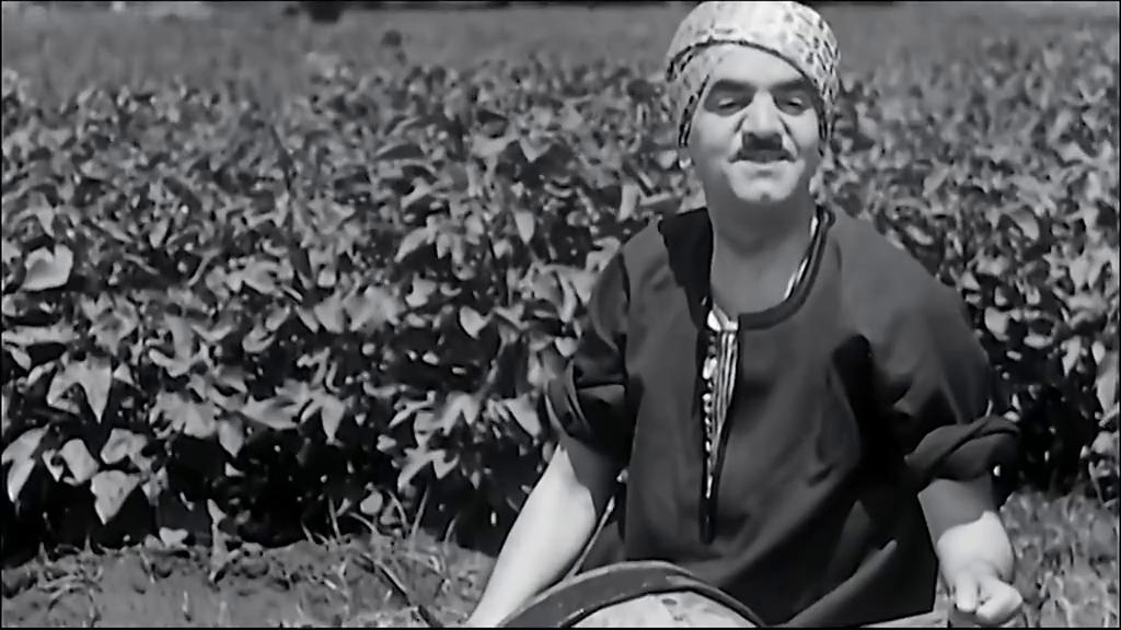 محمد عبد المطلب