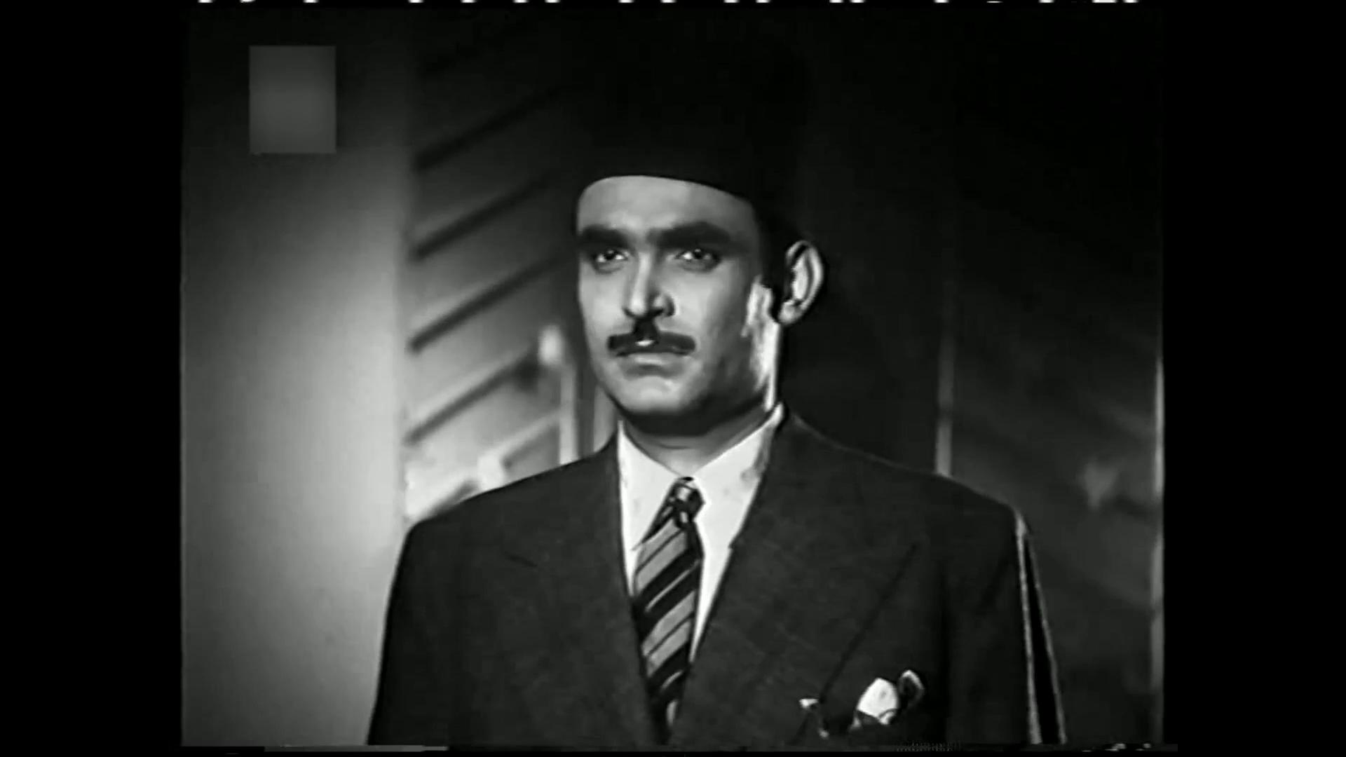 محمود ذو الفقار