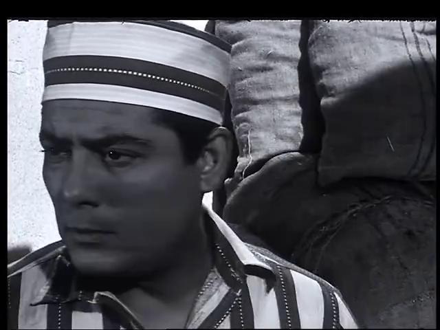 shoukry sarhan