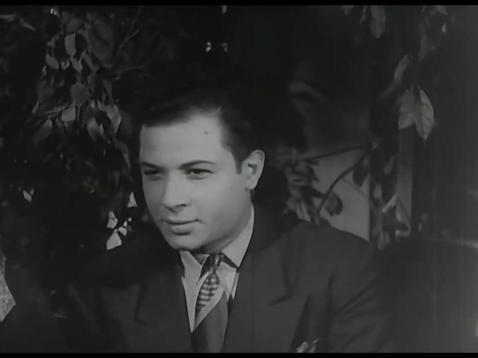 نبيل الألفي