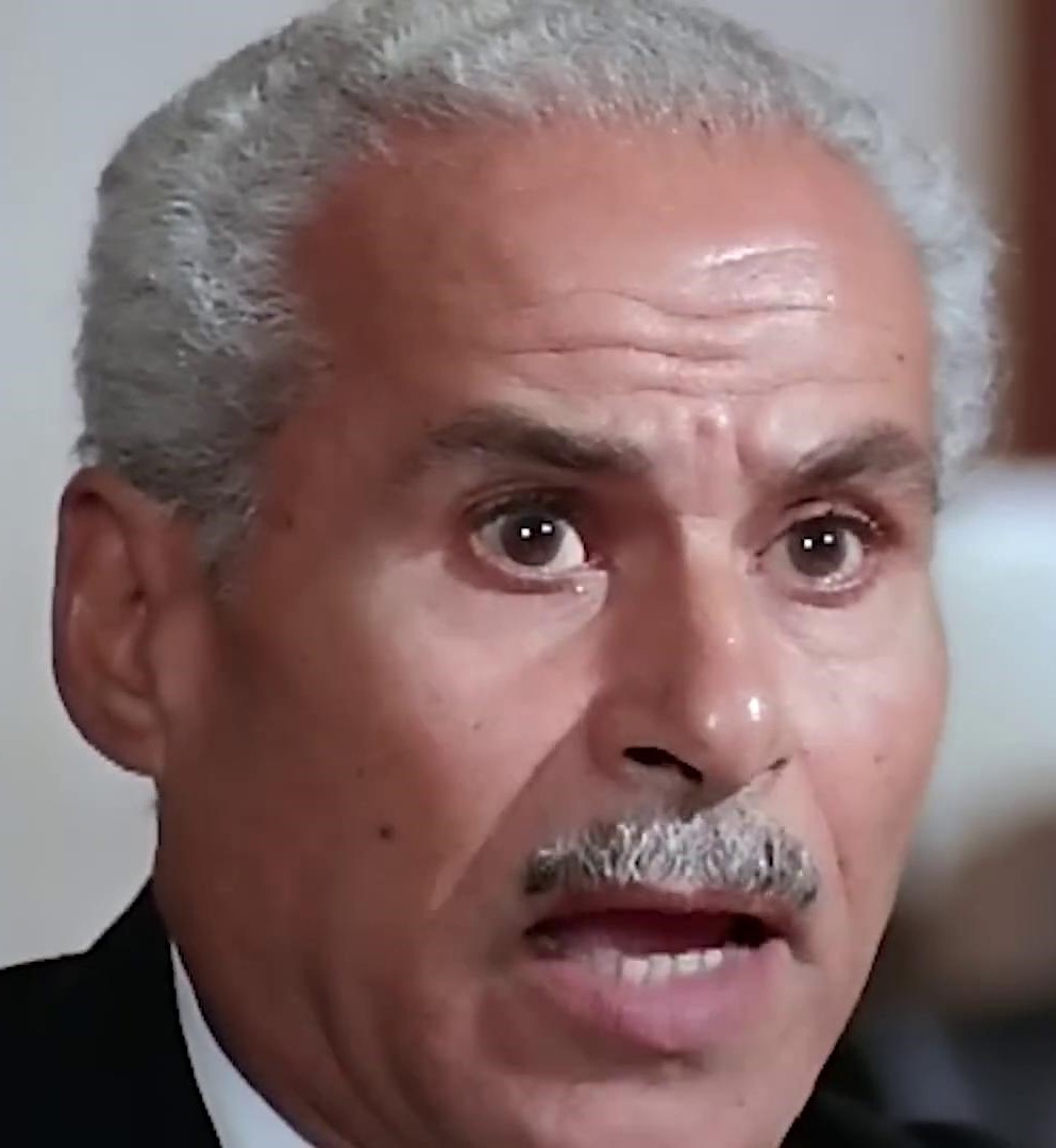 محمد ولي الدين