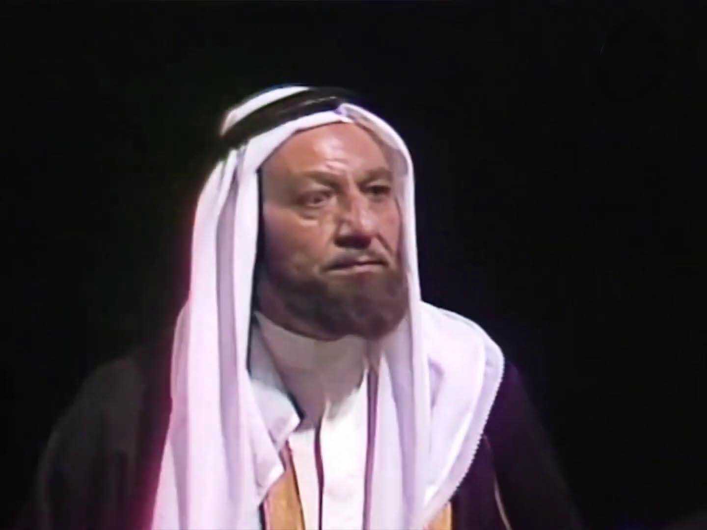 علي الغندور