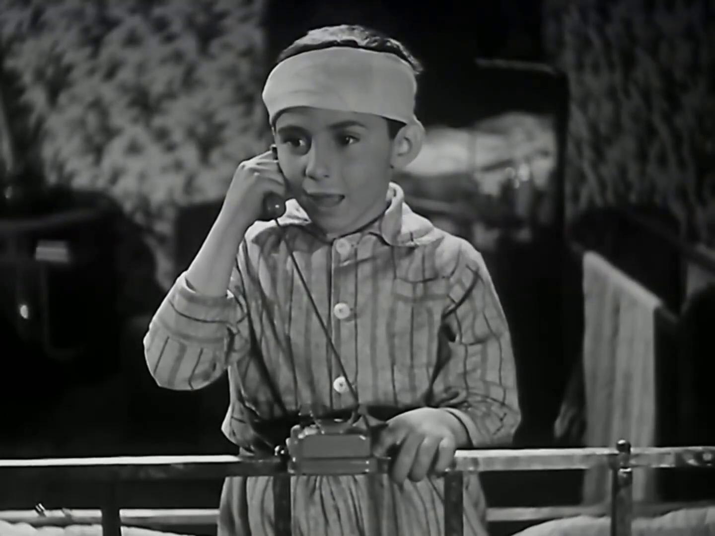 ممدوح ذو الفقار