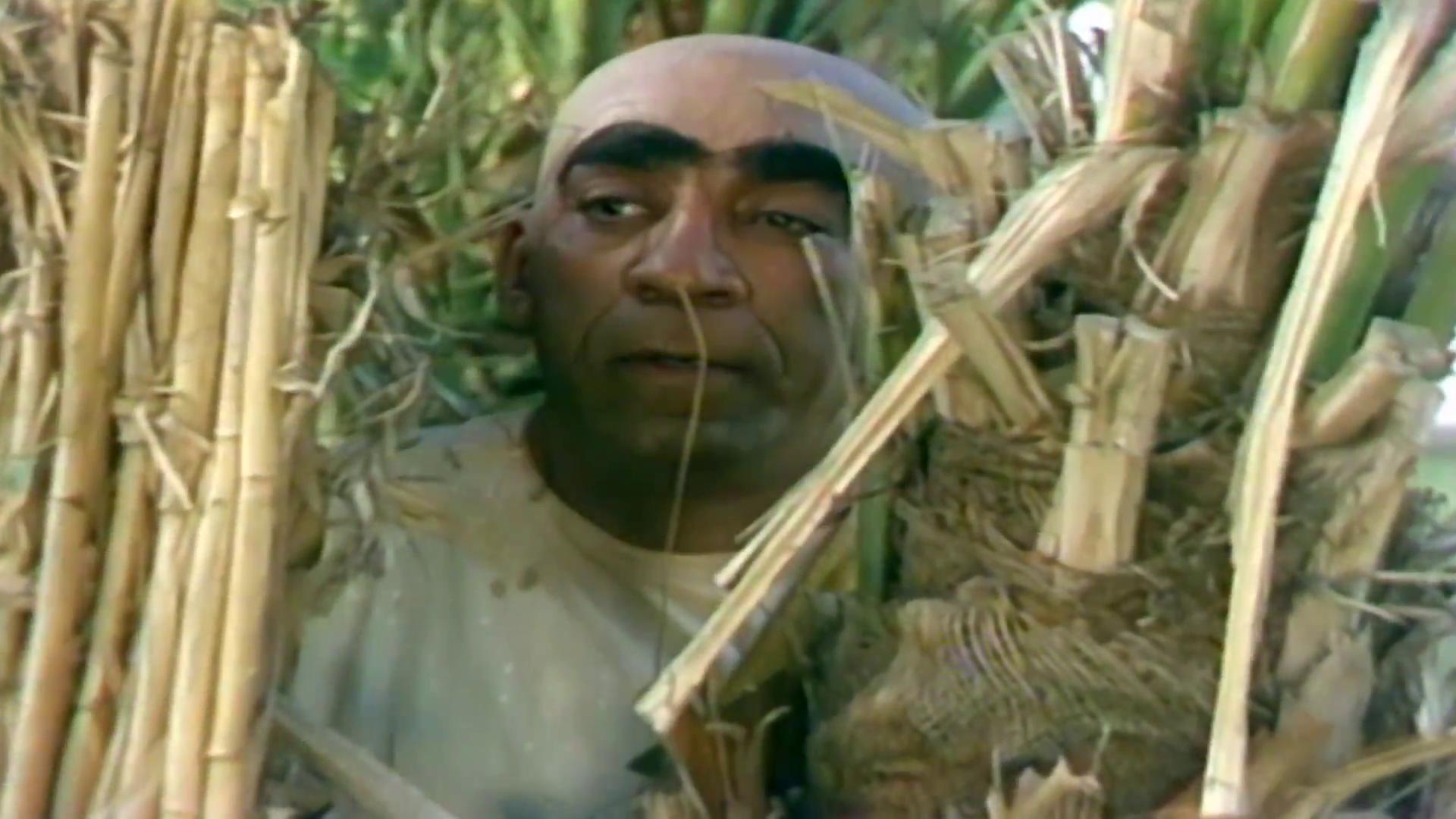 أنور عبد المنعم