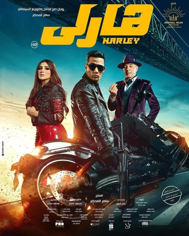 فيلم هارلي: أسطورة الأسفلت