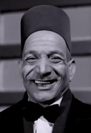 محمود لطفي