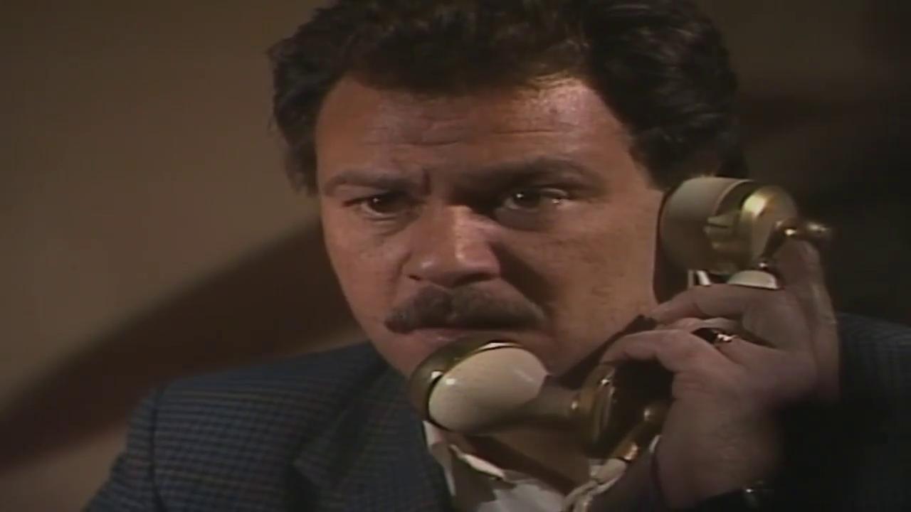 فاروق الفيشاوي