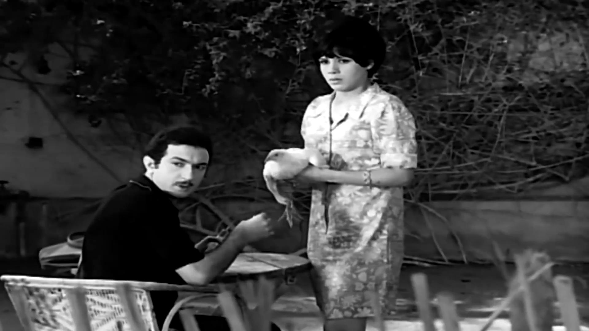 Nahed Gabr
	  	 	 - Nour Al-Sharif
