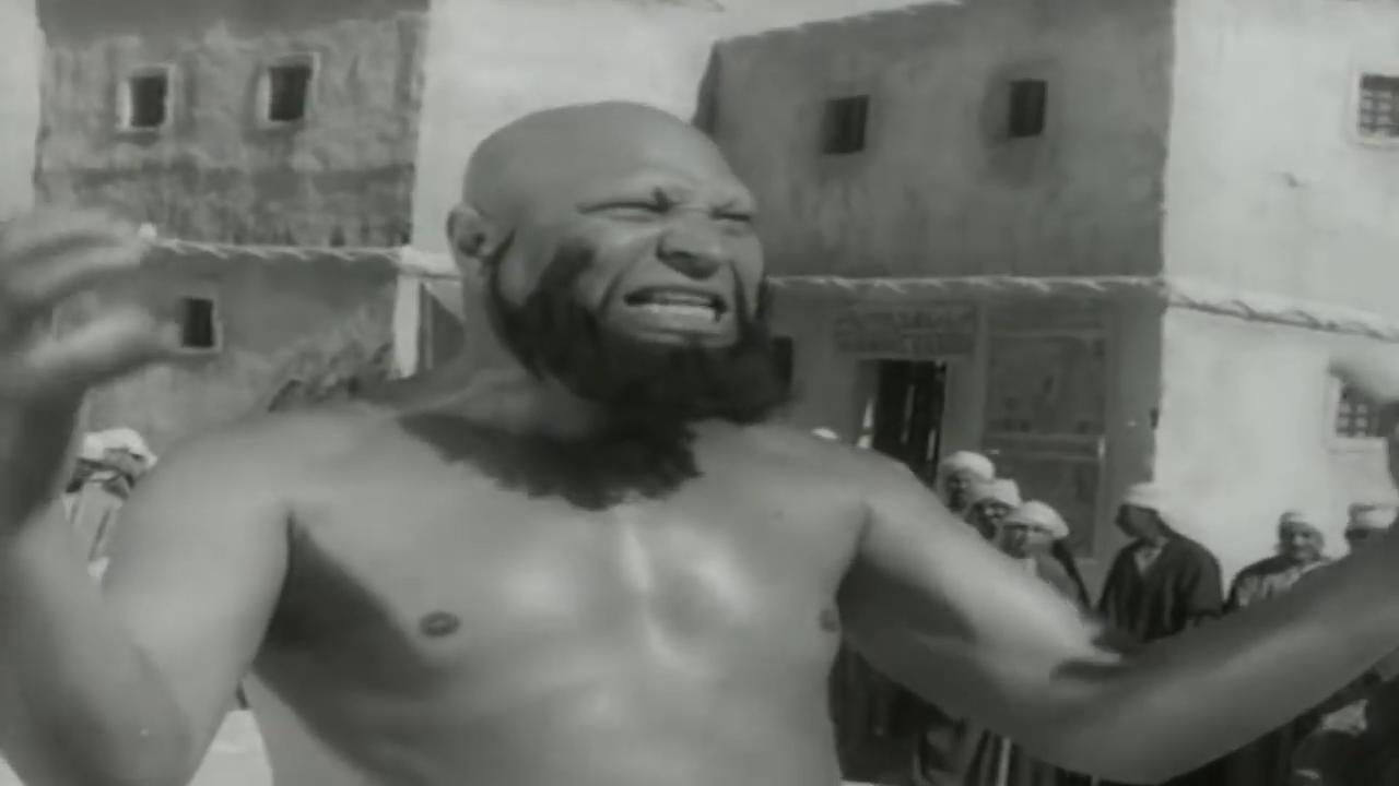 نصر سيف