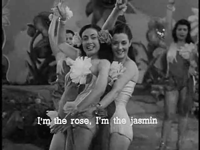 أمينة السيد