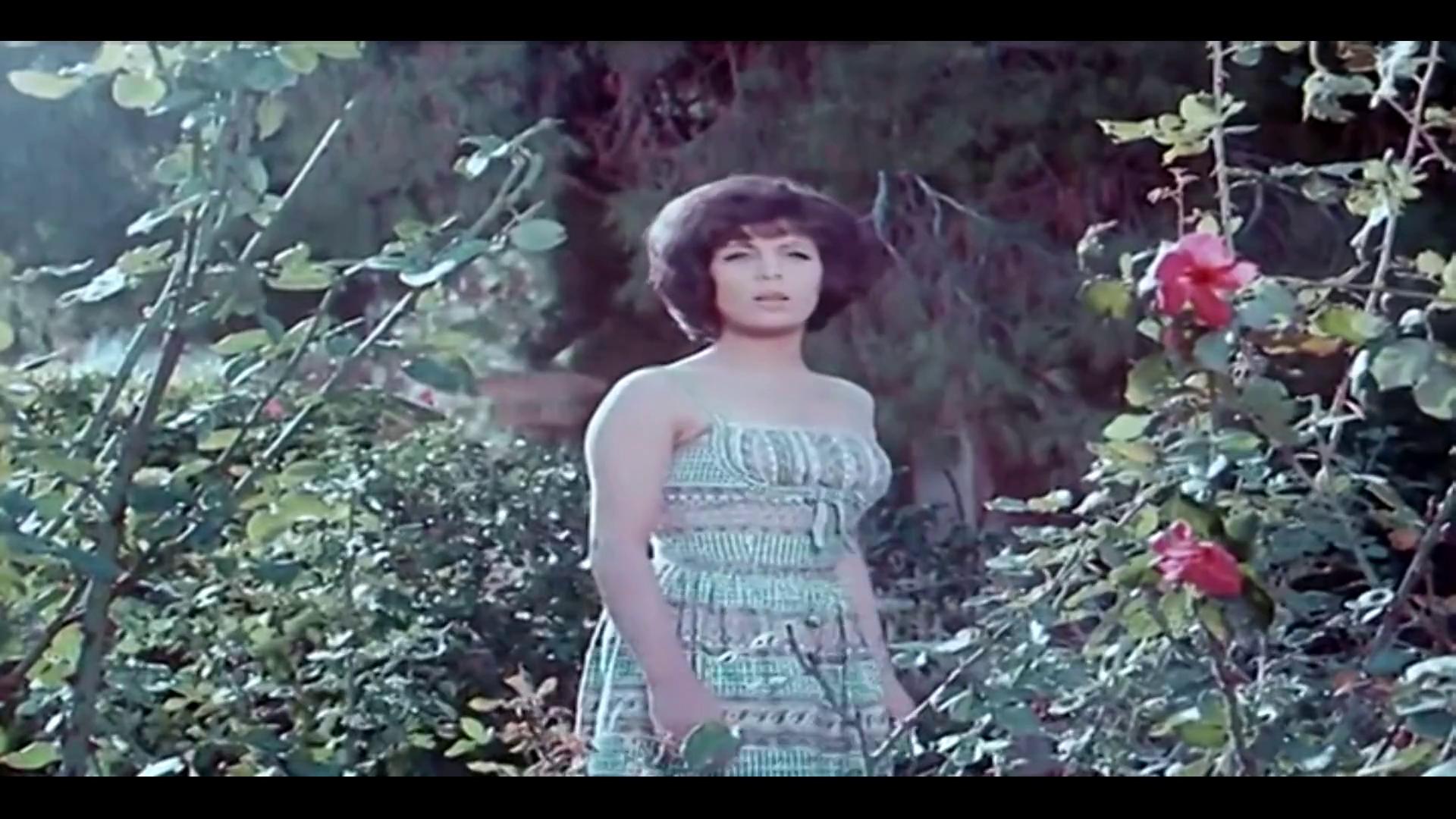 هالة الشواربي