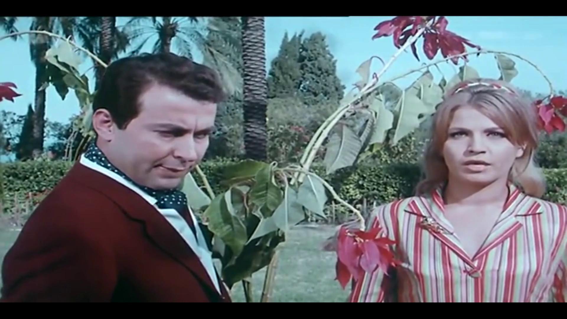 رندة - صفوح الشربجي