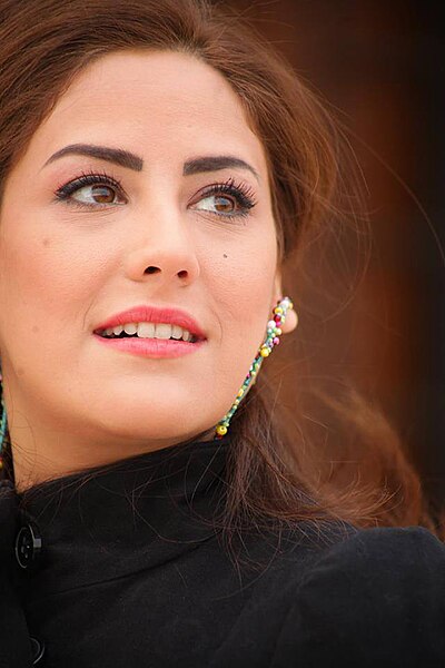 علا باشا