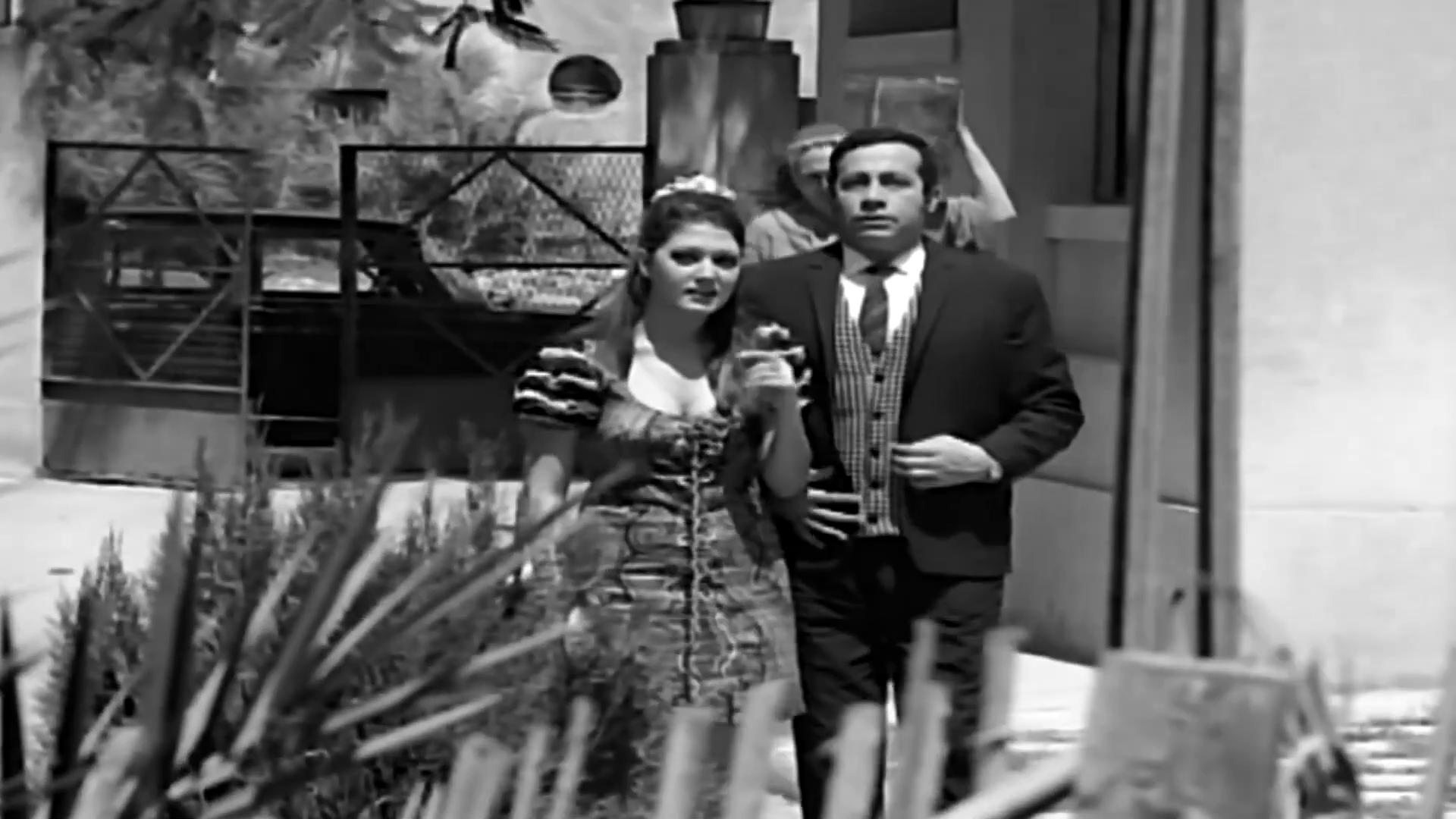 Abo-Bakr Ezzat
	  	 	 - Shams Al-Baroudy