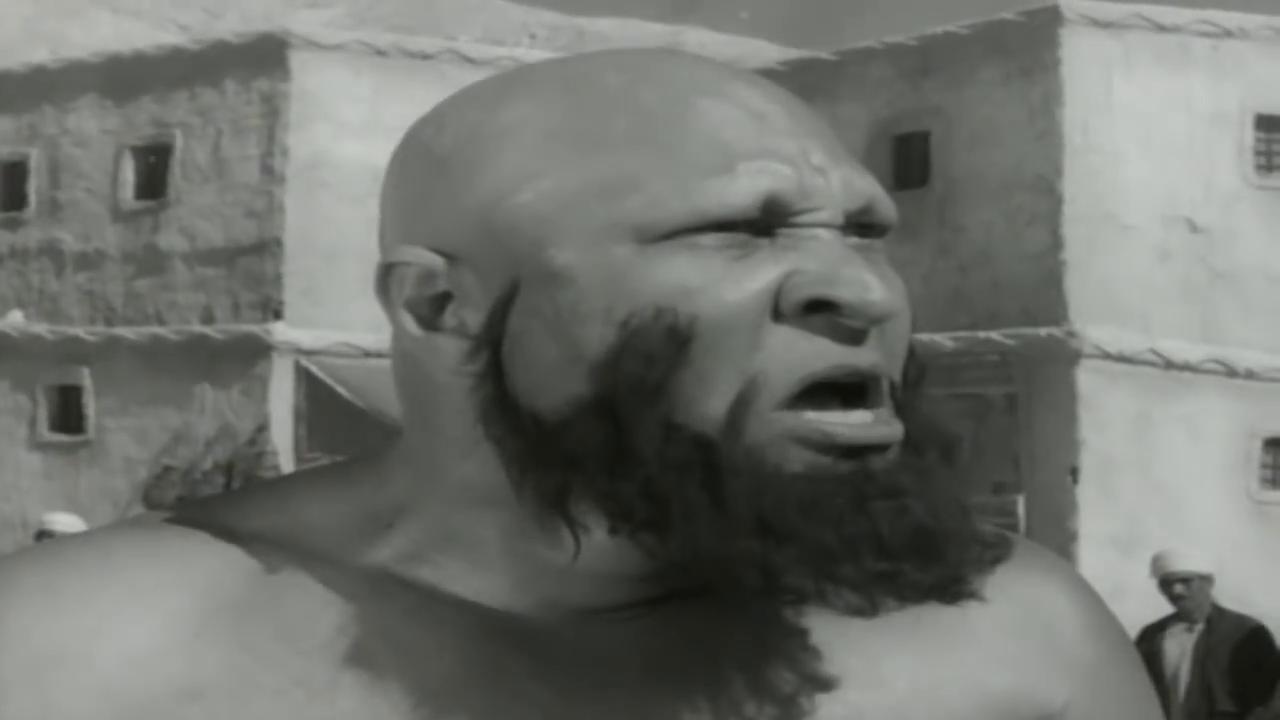 نصر سيف