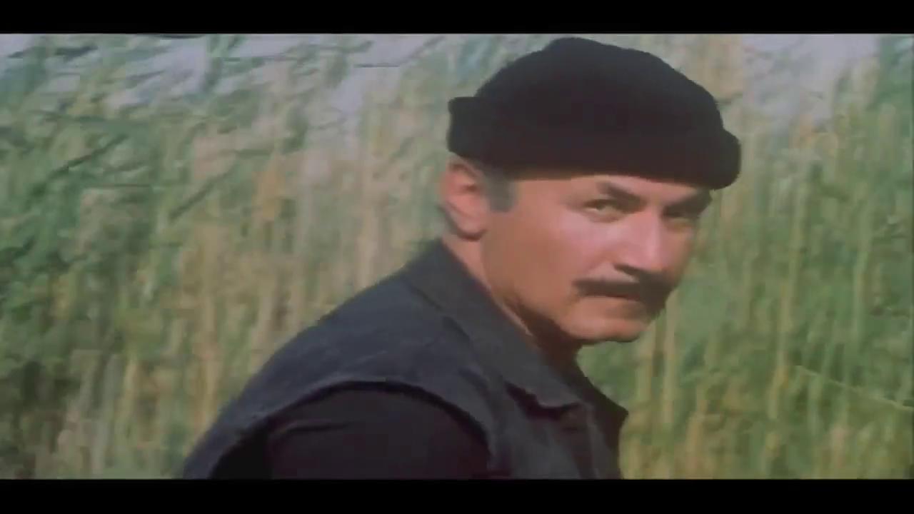 عزت أبو عوف