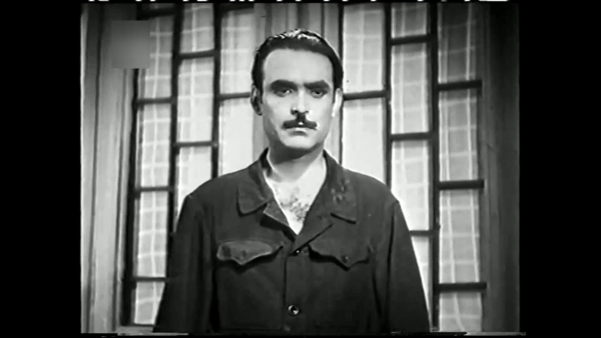 محمود ذو الفقار