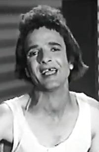 سيد مندولين