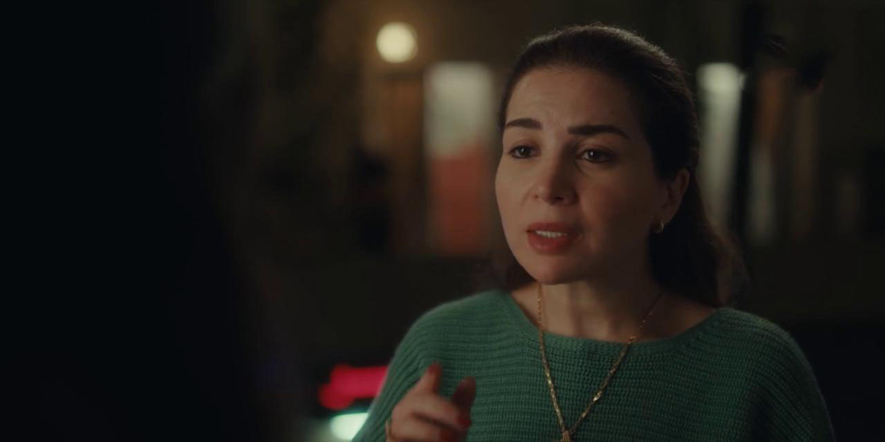 مي عز الدين