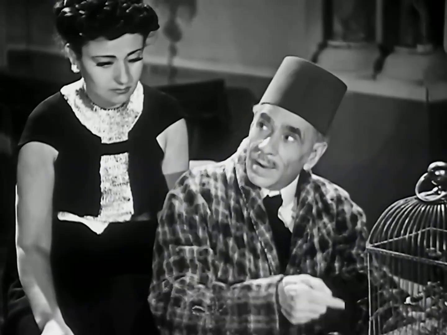 عمر وصفي - نجمة إبراهيم