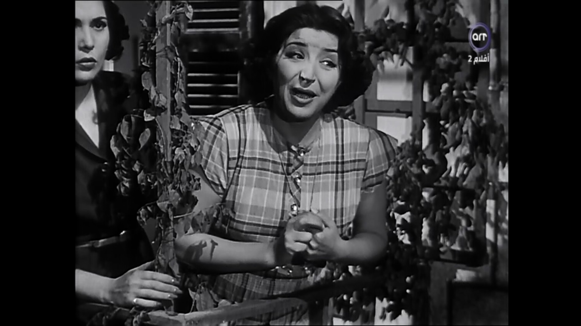 عزيزة أمير - تحية كاريوكا