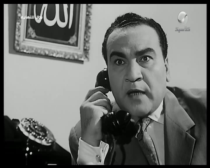 نظيم شعراوي