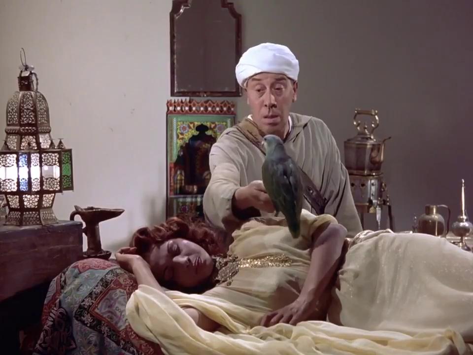 فرناندل - سامية جمال