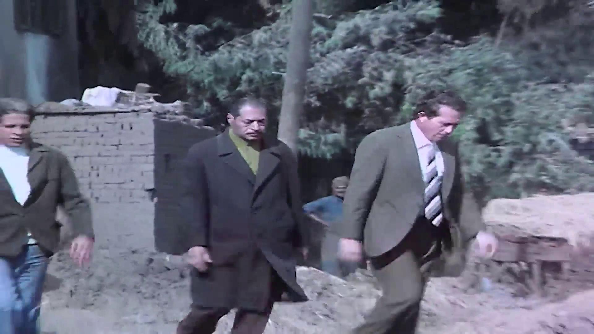 عبد الحميد أنيس