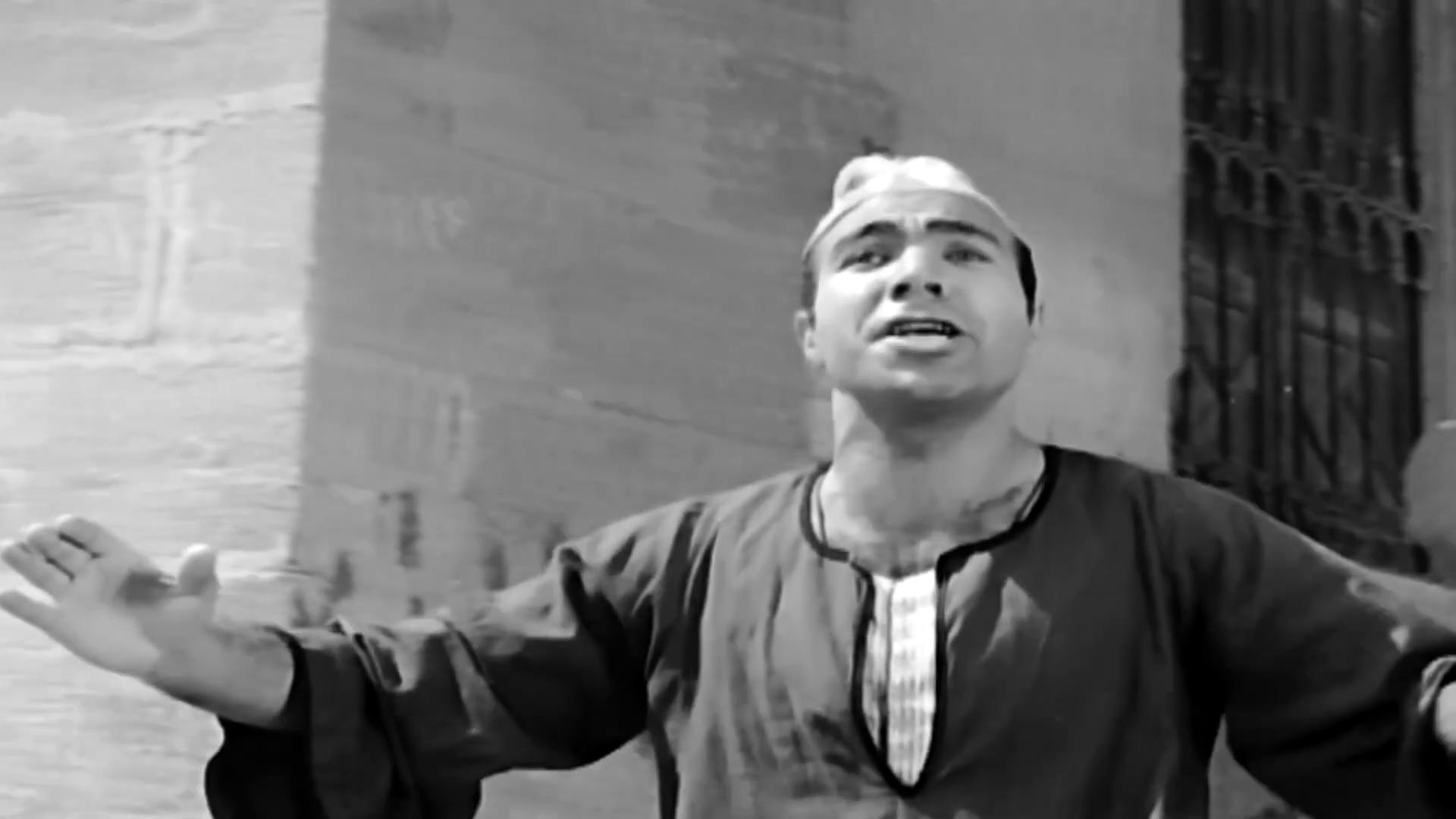 Mahmoud Al-Touny