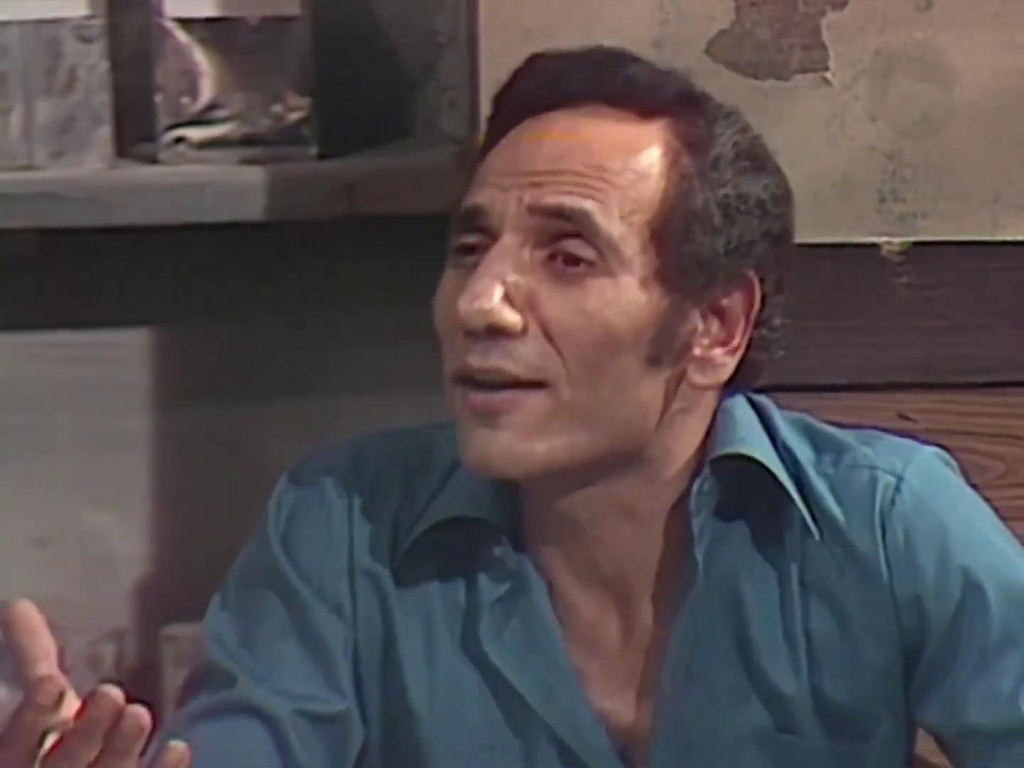 Muhammad Abdel-Halim