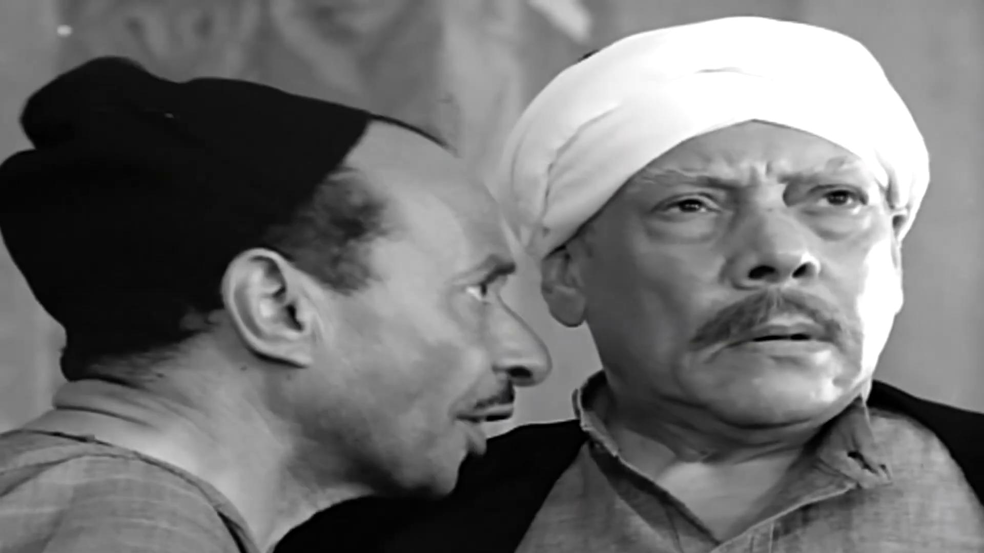 إبراهيم عمارة - محمود كامل