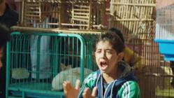 مسلسل: ملوك الجدعنة