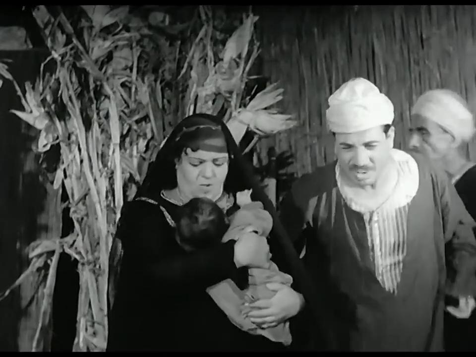 محمد حلمي - زيزي كامل