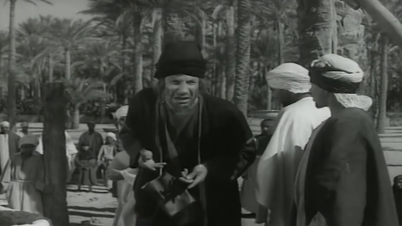 إسلام فارس