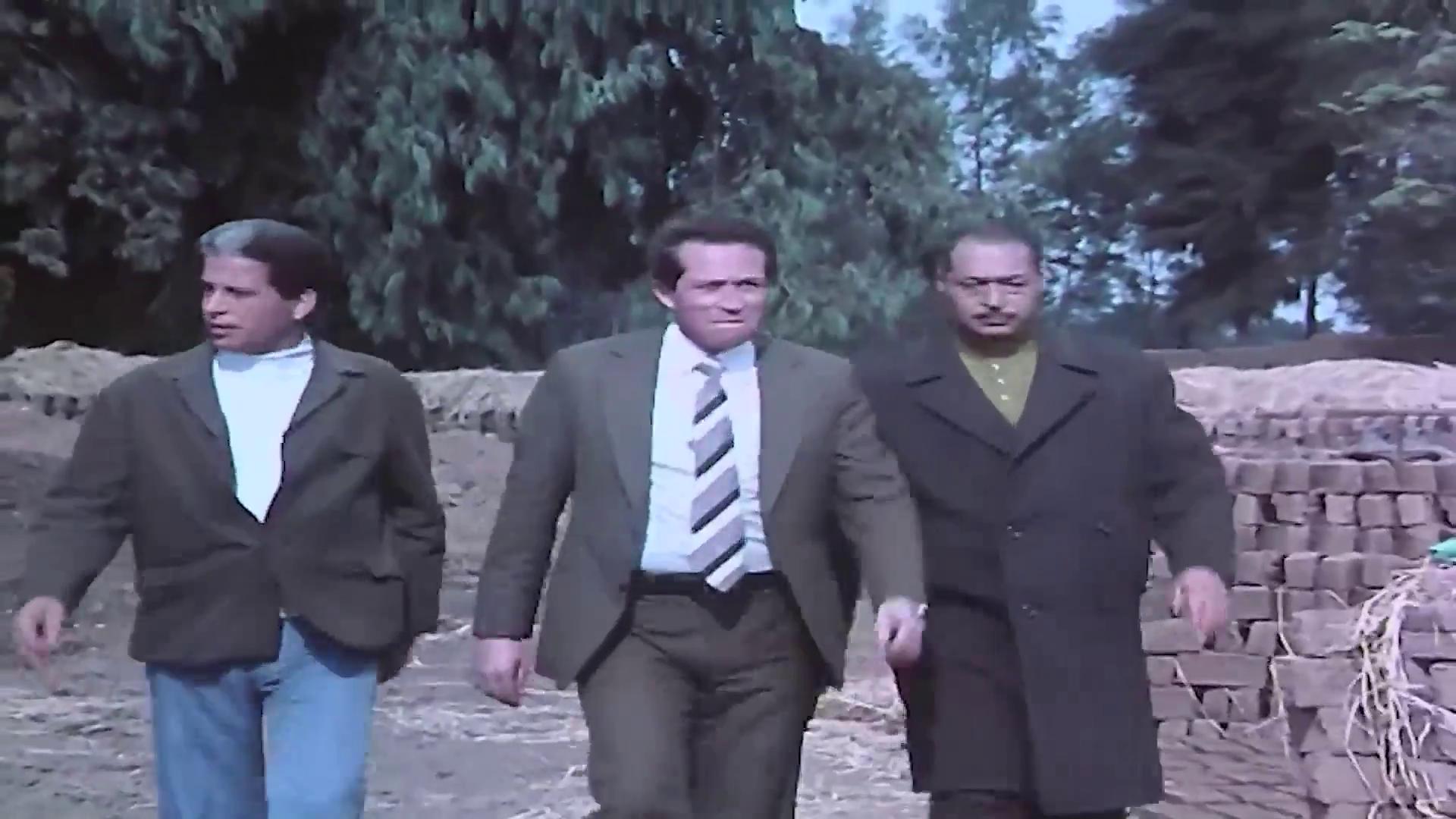 عبد الحميد أنيس