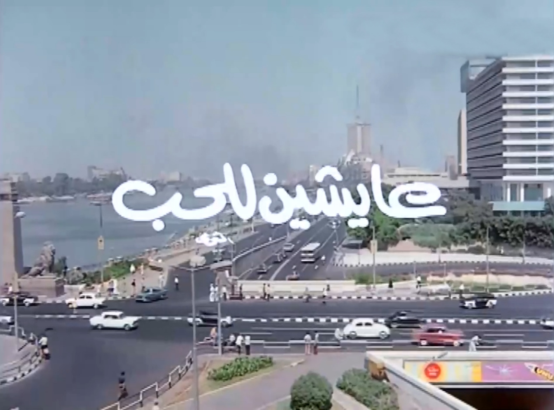عايشين للحب