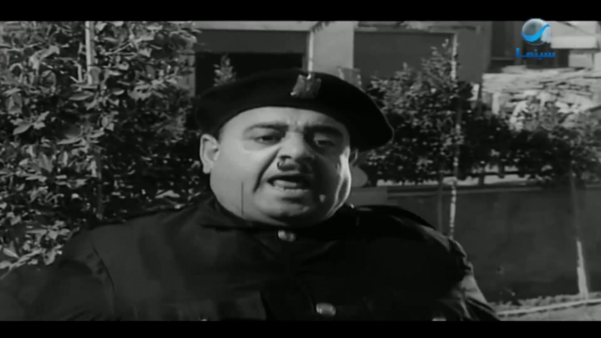 سيد إبراهيم