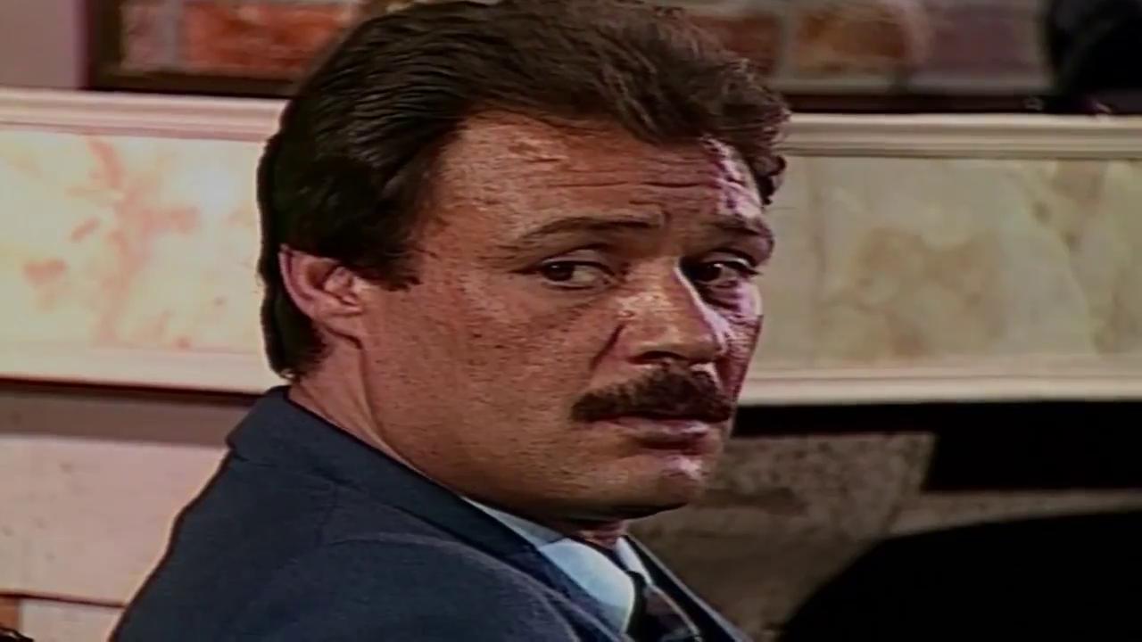 فاروق الفيشاوي