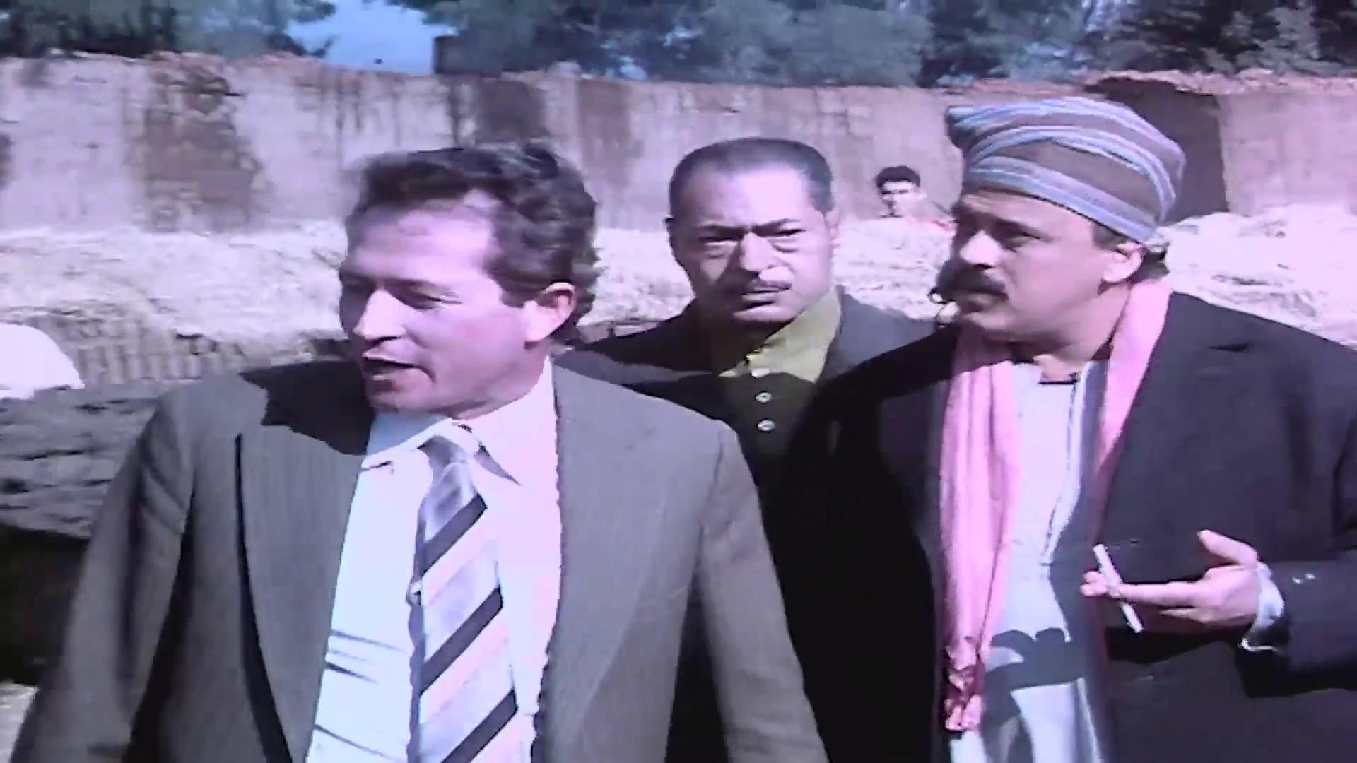 أحمد حافظ - عبد الحميد أنيس