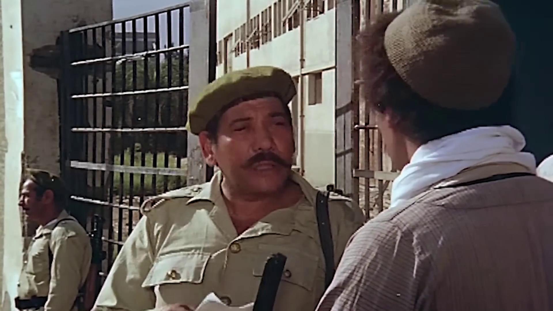 Muhammad Abo-Hashish