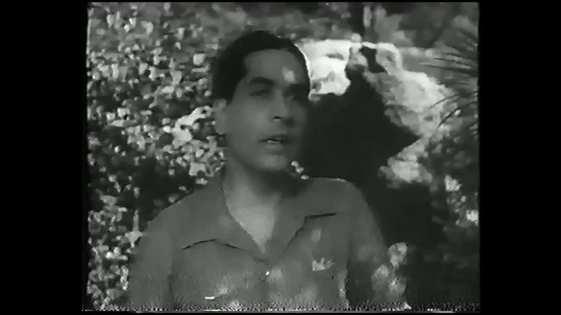 غرام شيبا