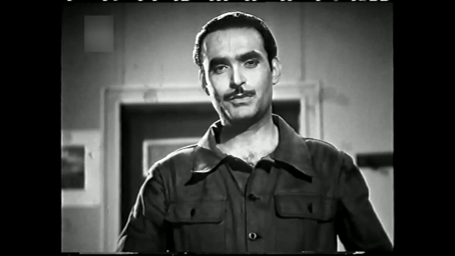 محمود ذو الفقار