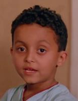 Mahmoud Gawish