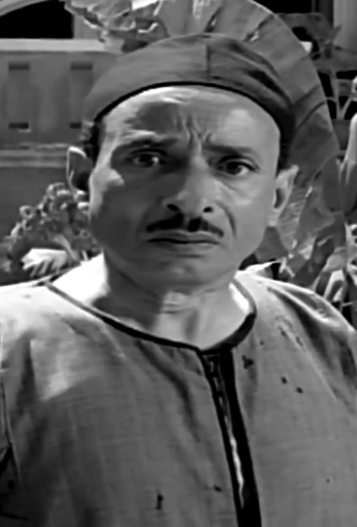 محمود كامل