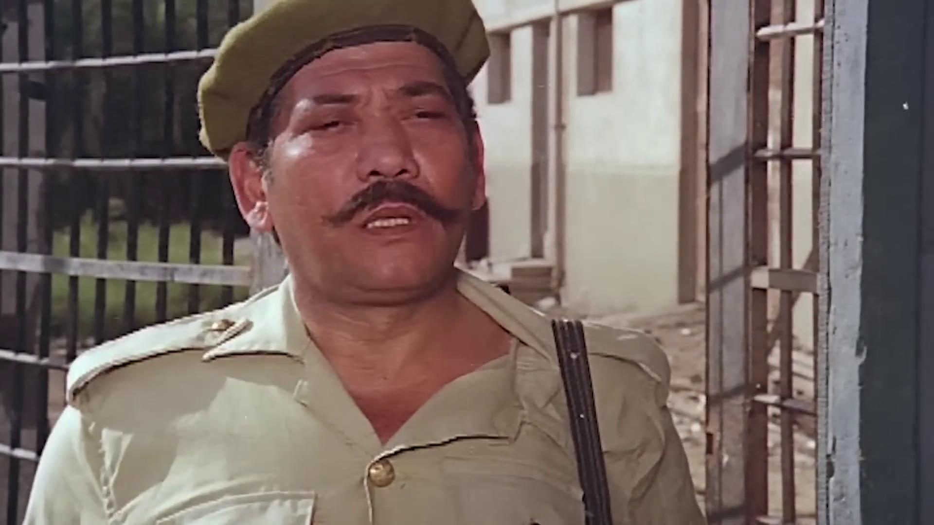 Muhammad Abo-Hashish